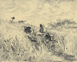 Path in the Wheat