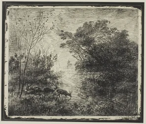 Stags
