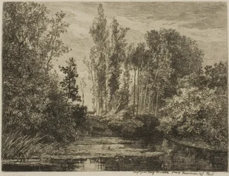 Stags at the Water