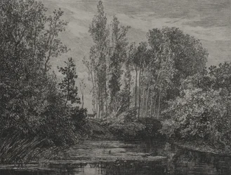 Stags at the Water