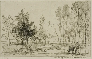 The Donkey at the Watering Place