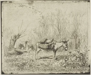 The Donkey in the Meadow
