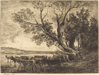 The Ford