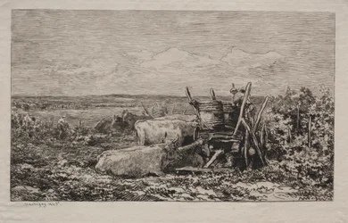 The Grape Harvest