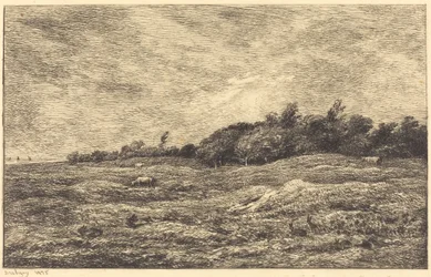 The Meadow at Grave, near Villerville