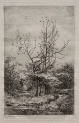 The Orchard