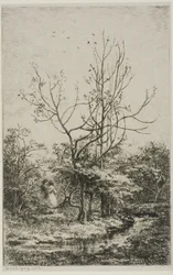 The Orchard