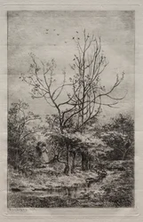 The Orchard