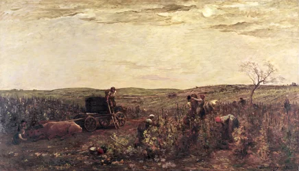 The Wine Harvest in Burgundy