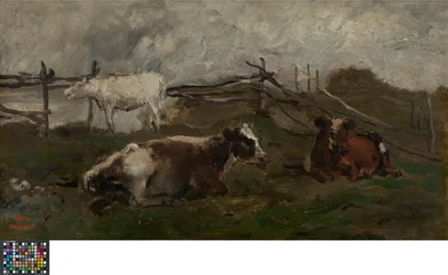 Cows in a Meadow