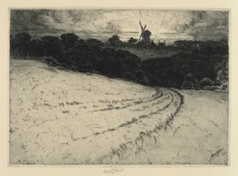 Morning, Canonicut Island