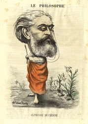 The Philosopher