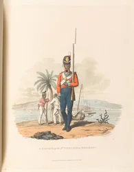 A Private of the 5th West India Regiment