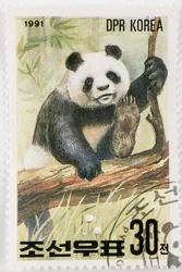 Stamp, North Korea, Giant Panda