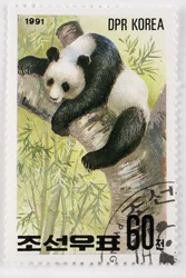 Stamp, North Korea, Giant Panda