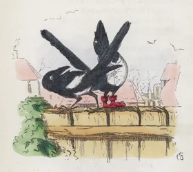 Two magpies on a garden fence
