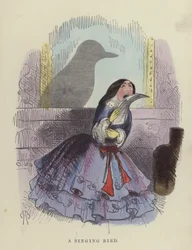 Singing Bird