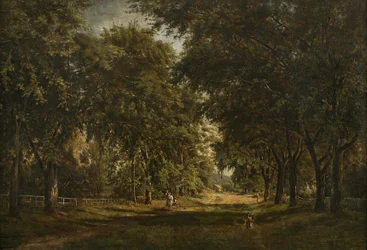 Landscape
