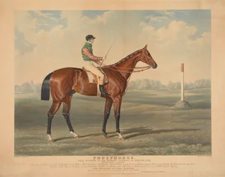 Racing: "Phosphorus", ridden by George Edwards, winner of the Derby Stakes at Epsom, 1837