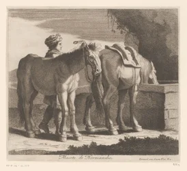 Drinking Horses