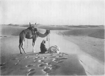 The Sunset Prayer in the Desert