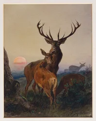 A Stag with Deer in a Wooded Landscape at Sunset, 1865