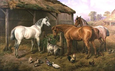 Farmyard Friends