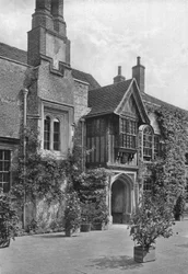 Flowers in the Quadrangle