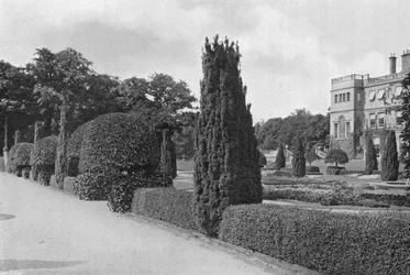 The Central Walk