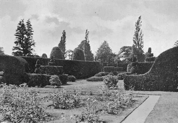 The Yew Garden