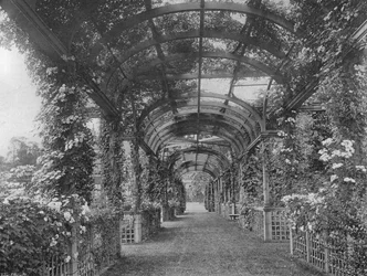 Under the North Pergola