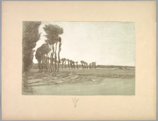 Suite of Landscapes: Landscape, Plate 5, Remarque, Three Stalks of Wheat