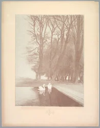 Suite of Landscapes: Landscape, Plate 6, Remarque, Lilies