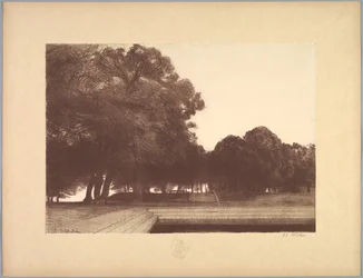 Suite of Landscapes: Landscape, Plate 7, Remarque, Poppies