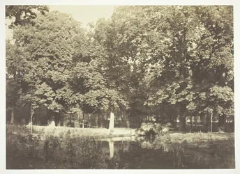 Untitled, c. 1850. [Trees near water in the Bois de Boulogne, a park in Paris]