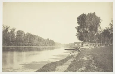 Untitled [Trees near water in the Bois de Boulogne, a park in Paris]