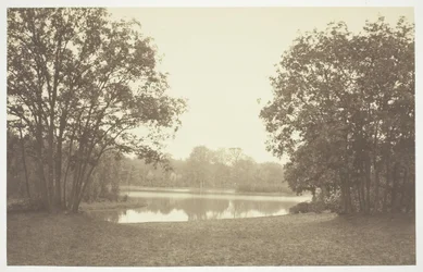 Untitled [Trees near water in the Bois de Boulogne, a park in Paris]