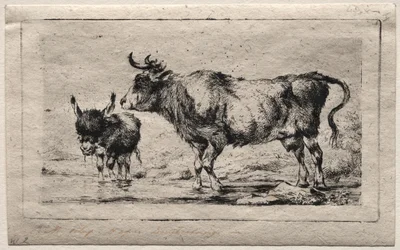 Cow and Ass