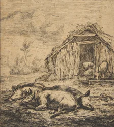 Three Pigs Lying in Front of a Shed, 1850