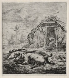 Three Swine Lying in Front of a Sty