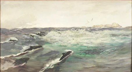 Porpoises Chasing Mackerel