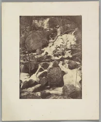 [Trees and Waterfalls]