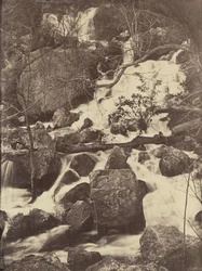 Trees and Waterfalls