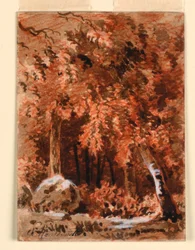 In the Woods