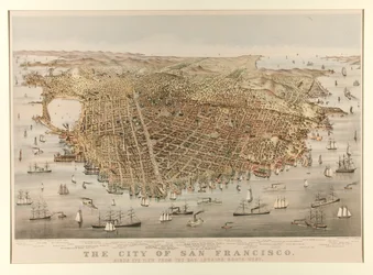 The City of San Francisco - Bird