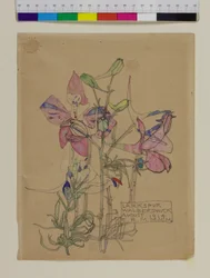 Larkspur, 1914