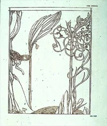 Illustration for 