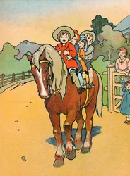 Going to School in New Zealand
