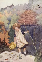 Our Sentimental Garden: The Beech