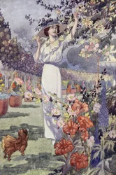 Our Sentimental Garden: The Hemicycle
